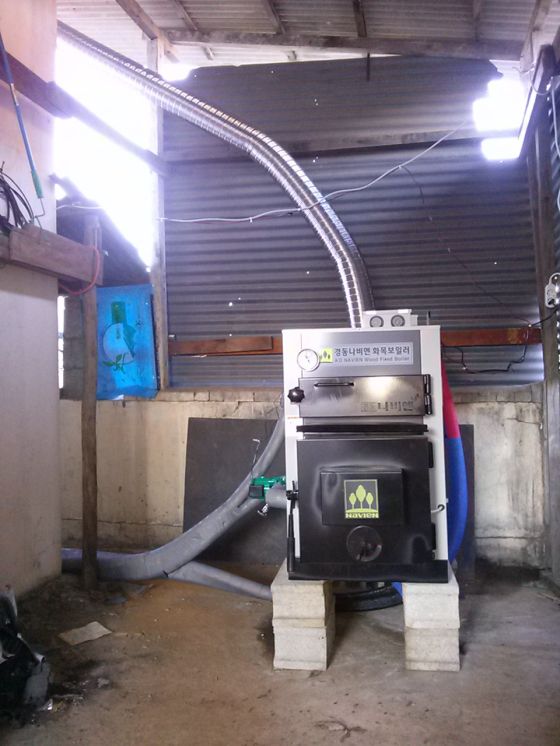 군위군수서리경동화목보일러15KD설치현장